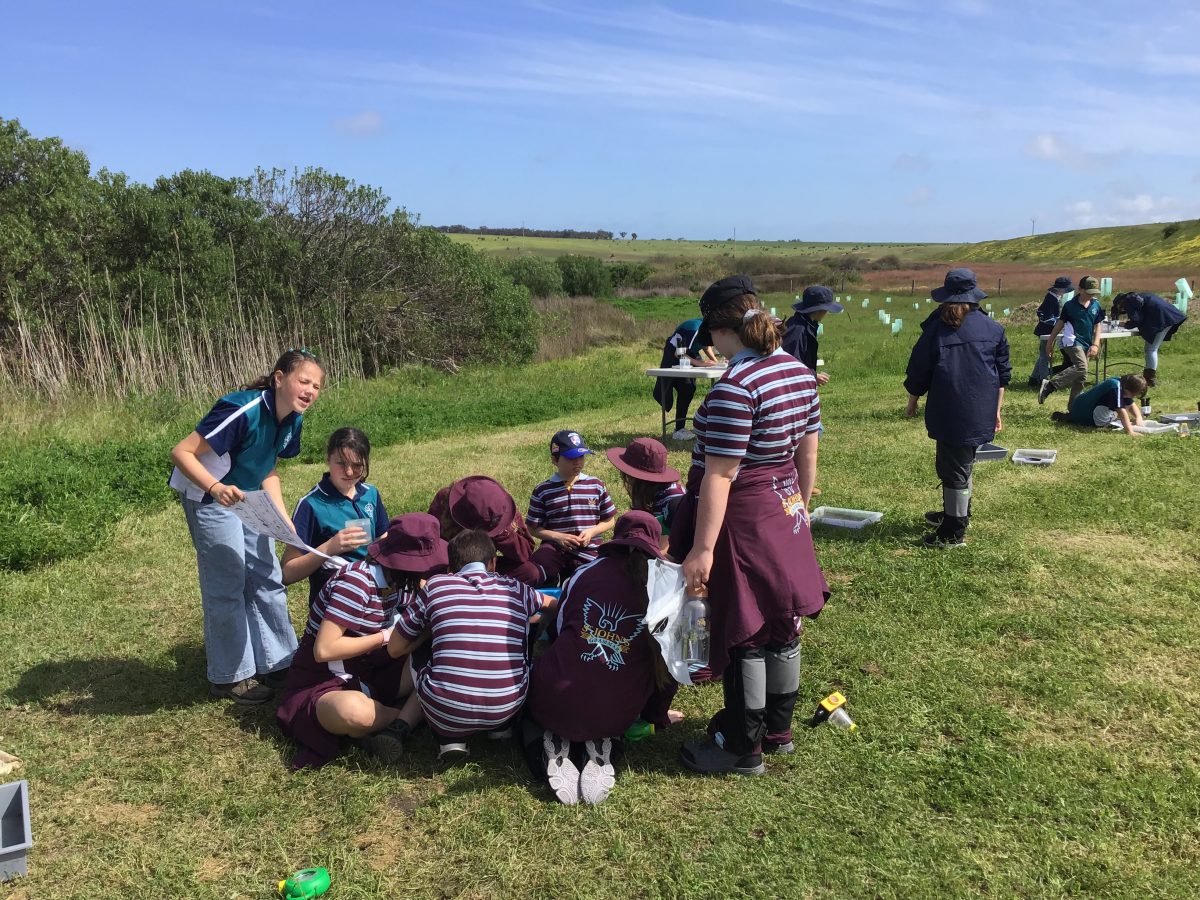 Year 6 EcoCentre Adventures with Friends | 2022