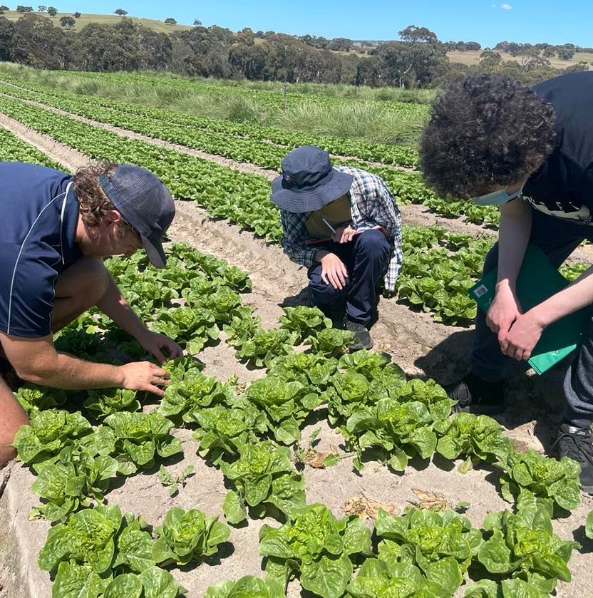 Year 11 Agriculture – Integrated Pest Management | 2022
